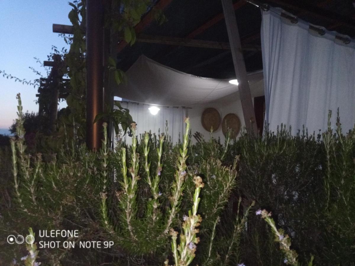 Arcamyrtus Guest House Alghero Luaran gambar
