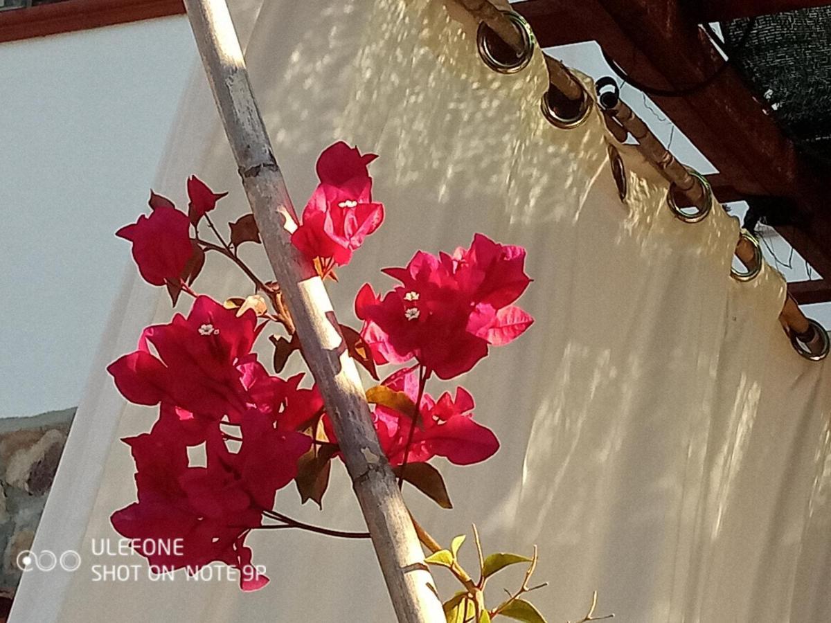 Arcamyrtus Guest House Alghero Luaran gambar