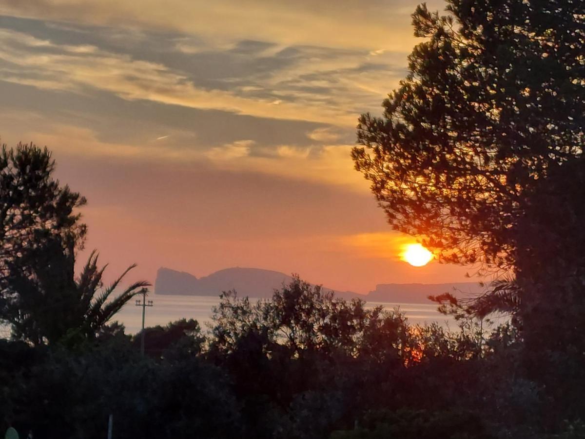Arcamyrtus Guest House Alghero Luaran gambar
