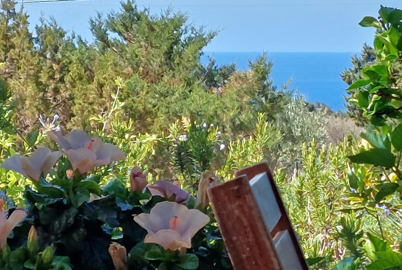 Arcamyrtus Guest House Alghero Luaran gambar