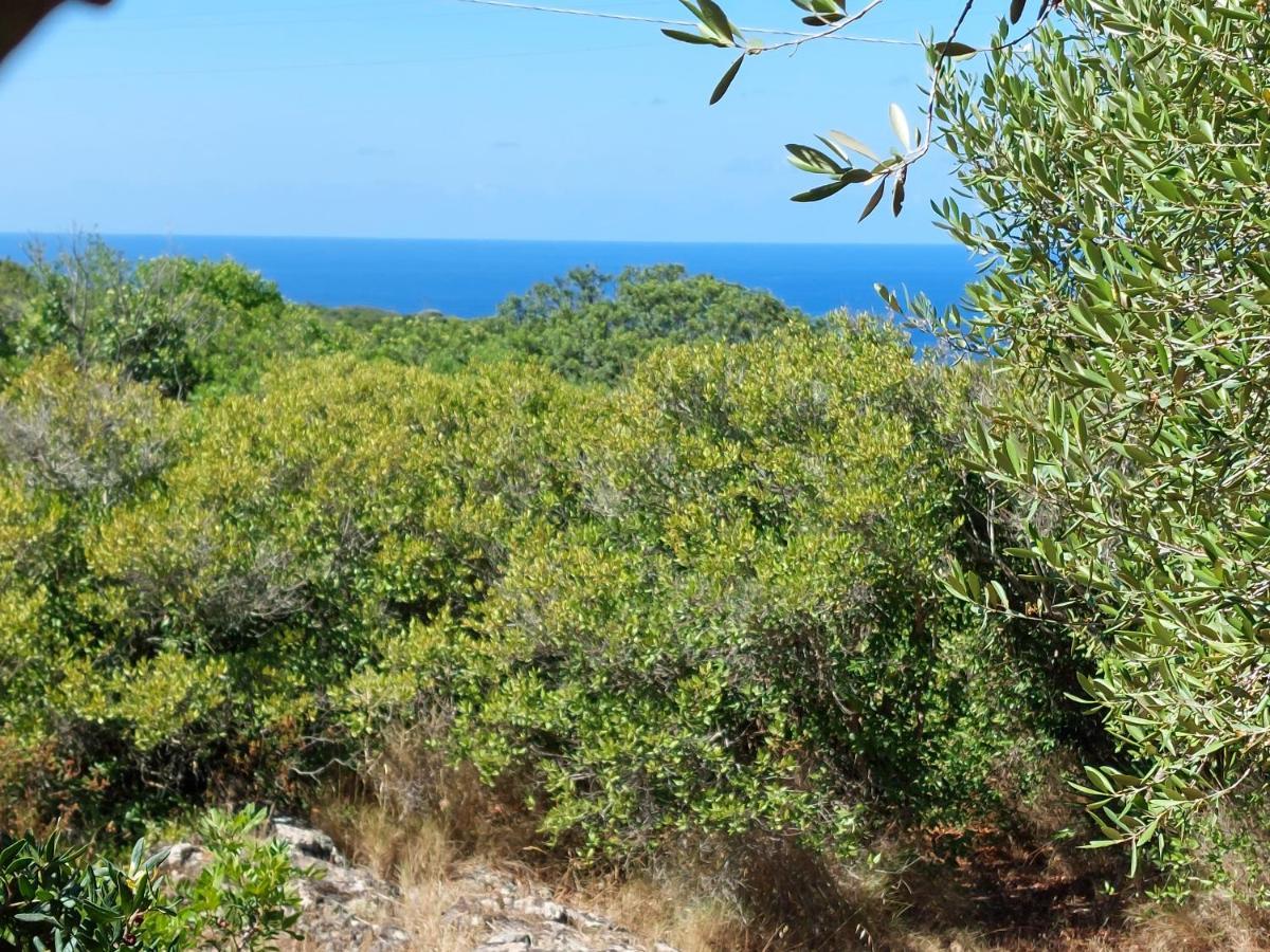 Arcamyrtus Guest House Alghero Luaran gambar