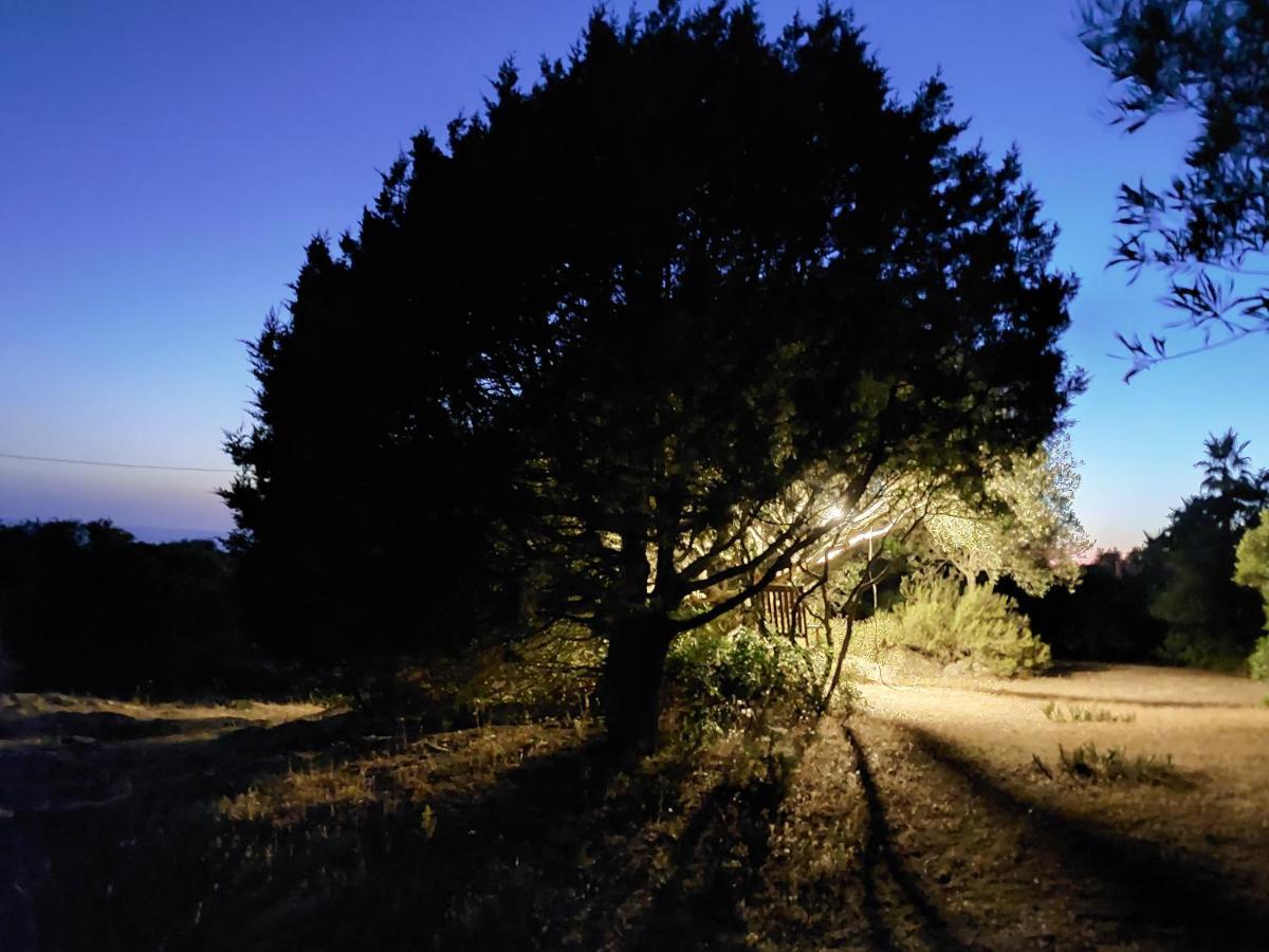 Arcamyrtus Guest House Alghero Luaran gambar