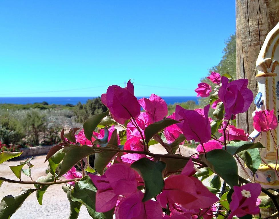 Arcamyrtus Guest House Alghero Luaran gambar