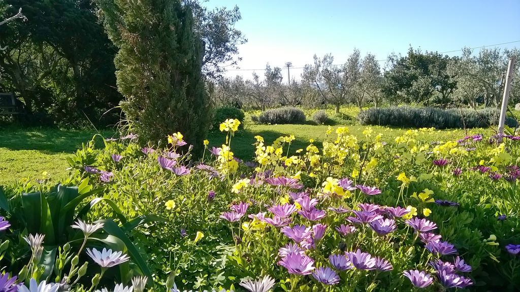 Arcamyrtus Guest House Alghero Luaran gambar