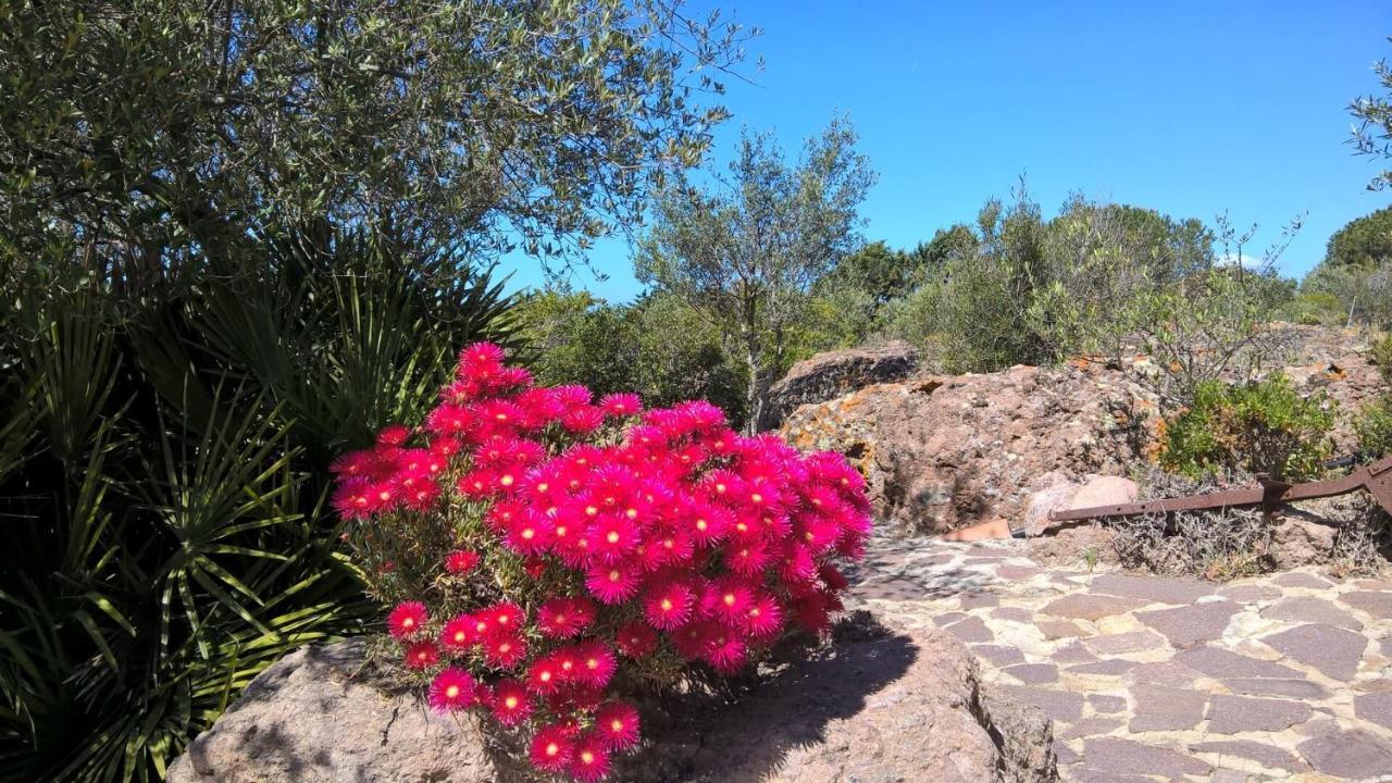 Arcamyrtus Guest House Alghero Luaran gambar